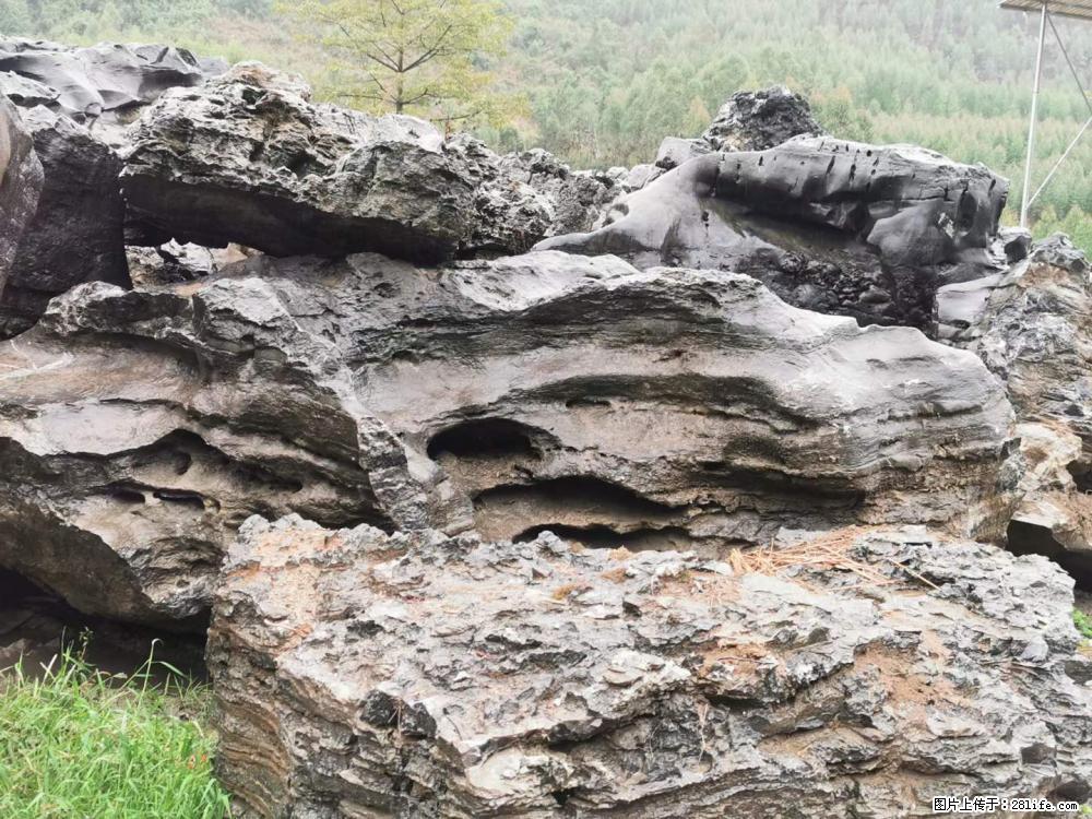 风景石、假山石大量有货，有需要的欢迎联系 - 新手上路 - 广安生活社区 - 广安28生活网 ga.28life.net