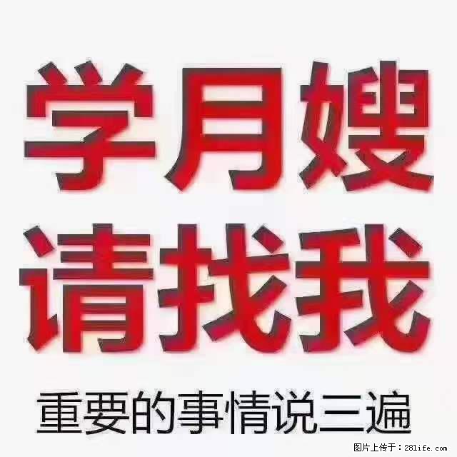 为什么要学习月嫂，育婴师？ - 其他广告 - 广告专区 - 广安分类信息 - 广安28生活网 ga.28life.net
