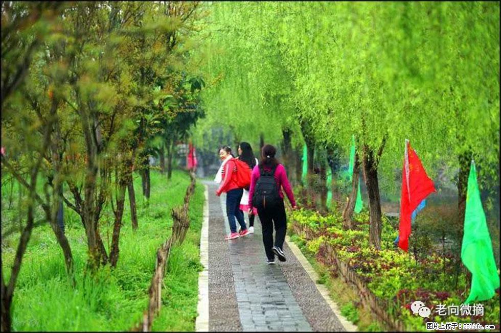 【春天，广西桂林灌阳县向您发出邀请！】江口老街又逢春 - 游山玩水 - 广安生活社区 - 广安28生活网 ga.28life.net