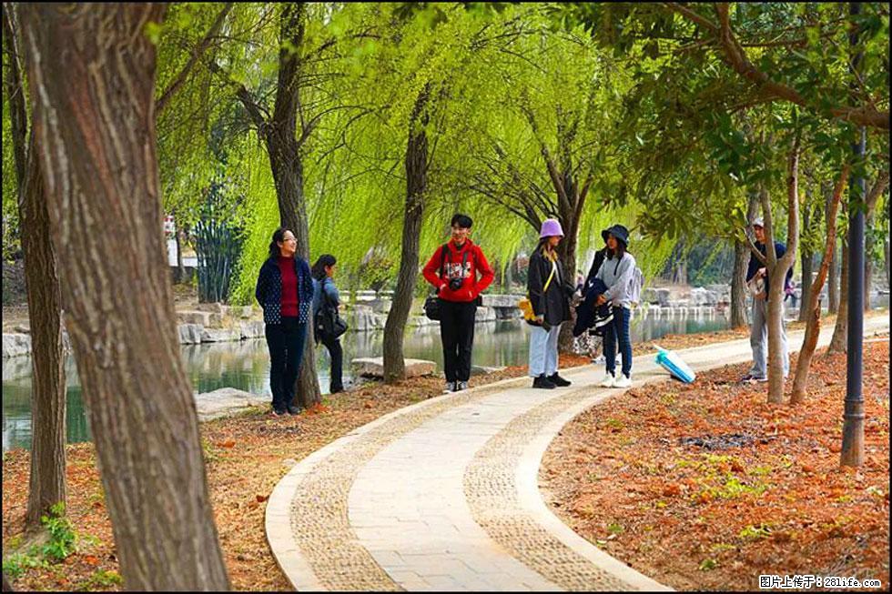 【春天，广西桂林灌阳县向您发出邀请！】江口老街又逢春 - 游山玩水 - 广安生活社区 - 广安28生活网 ga.28life.net