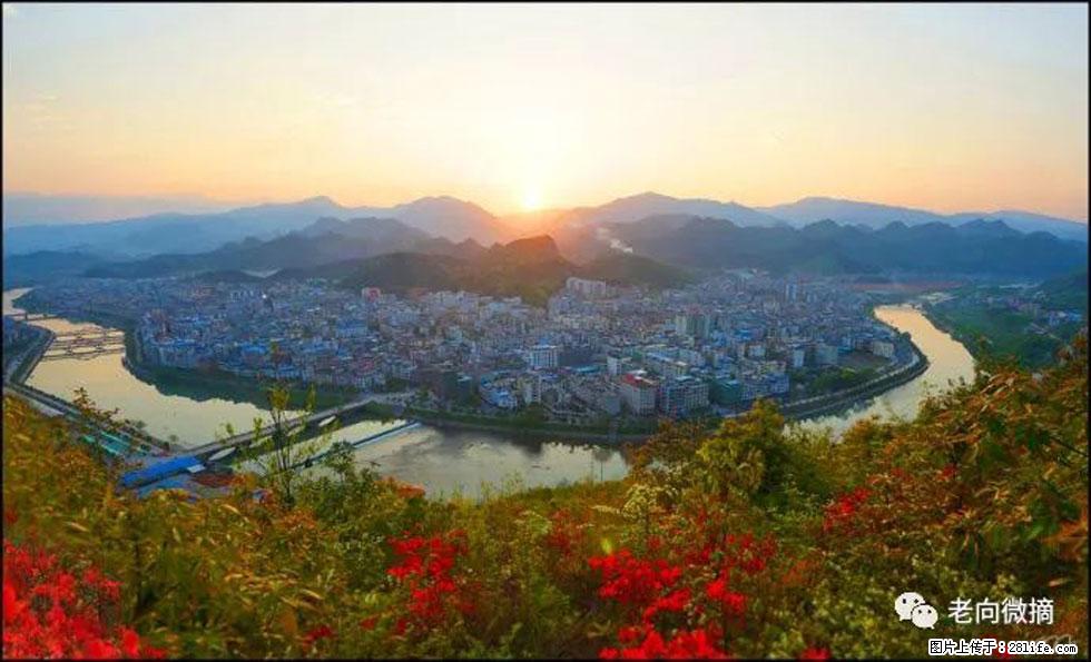 【春天,广西桂林灌阳县向您发出邀请!】登麒麟山,相约映山红 - 游山玩水 - 广安生活社区 - 广安28生活网 ga.28life.net