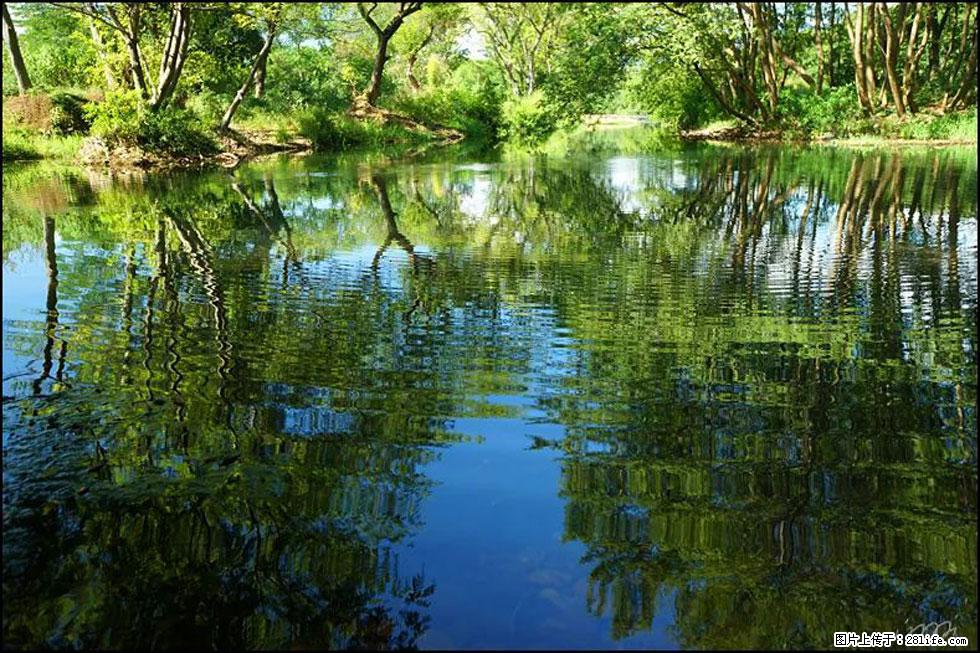 【春天，广西桂林灌阳县向您发出邀请！】熊家寨湿地公园 - 游山玩水 - 广安生活社区 - 广安28生活网 ga.28life.net