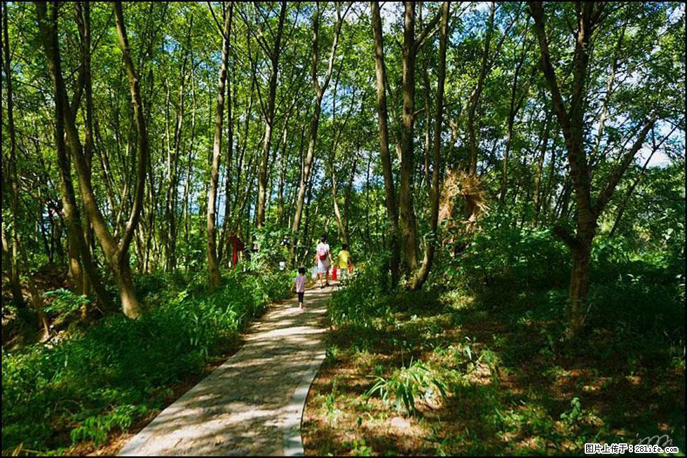 【春天，广西桂林灌阳县向您发出邀请！】熊家寨湿地公园 - 游山玩水 - 广安生活社区 - 广安28生活网 ga.28life.net