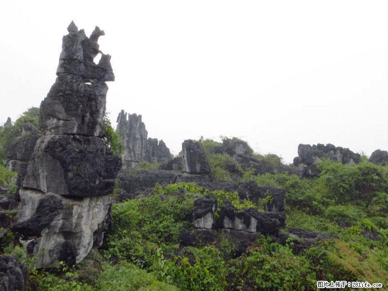 桂林旅游名城景点：灌阳文市石林 - 游山玩水 - 广安生活社区 - 广安28生活网 ga.28life.net