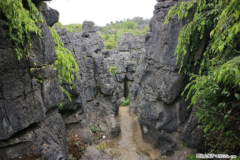 桂林旅游名城景点：灌阳文市石林 - 游山玩水 - 广安生活社区 - 广安28生活网 ga.28life.net