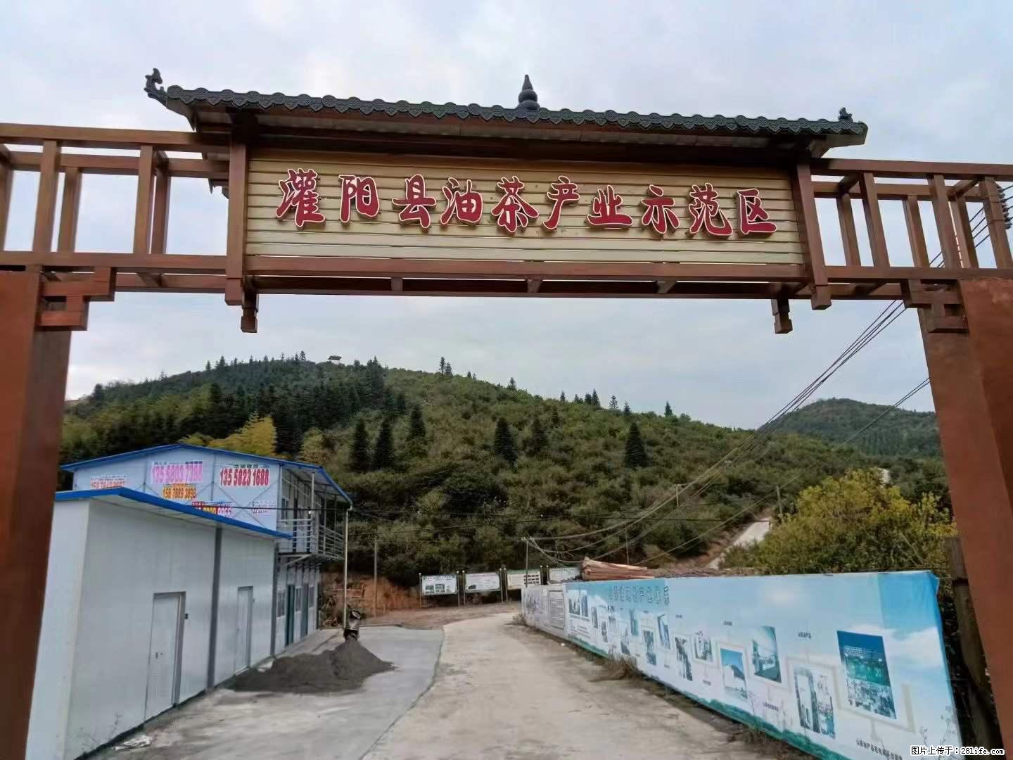 【灌阳县油茶产业示范区】一个有着充实的精神生活的人，对待身外之物自会有一种淡泊的态度 - 美食天地 - 广安生活社区 - 广安28生活网 ga.28life.net