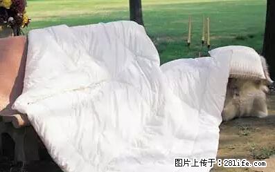 被子有异味?只要这样做,比晒太阳还强100倍! - 家居生活 - 广安生活社区 - 广安28生活网 ga.28life.net