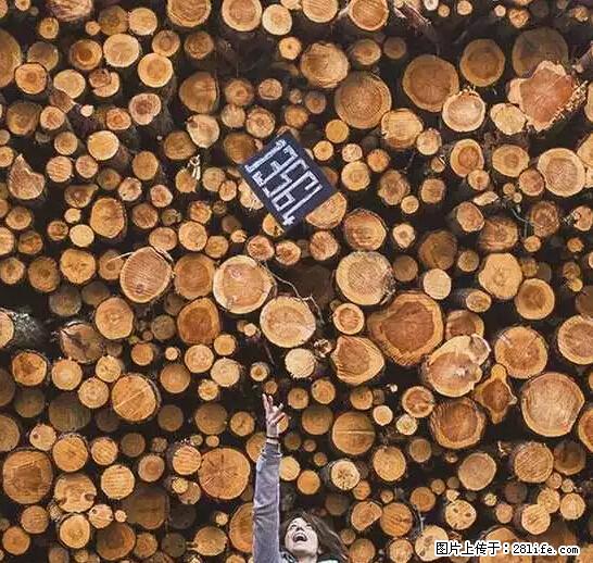辞掉工作周游世界？现在他们在洗厕所…… - 游山玩水 - 广安生活社区 - 广安28生活网 ga.28life.net