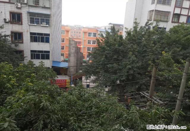 四楼，凤山小学正大门对面，县医院旁，家具家电齐，价格可议！ - 房屋出租 - 房屋租售 - 广安分类信息 - 广安28生活网 ga.28life.net