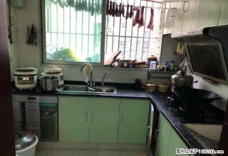 园田社区3室两厅一卫单间出租，可以押一付一 - 广安28生活网 ga.28life.net