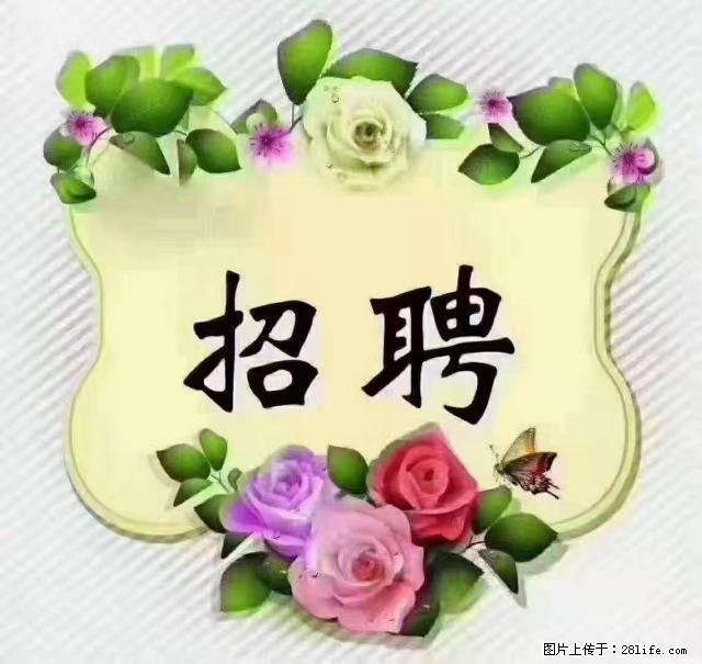 【招聘】住家育儿嫂，上户日期：4月4日，工作地址：上海 黄浦区 - 职场交流 - 广安生活社区 - 广安28生活网 ga.28life.net