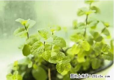 晕车、脚气、牙齿变黄、皮肤粗糙？学会这些三分钟搞定！ - 广安生活资讯 - 广安28生活网 ga.28life.net
