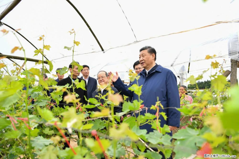 习近平赴广西考察调研 - 广安生活资讯 - 广安28生活网 ga.28life.net