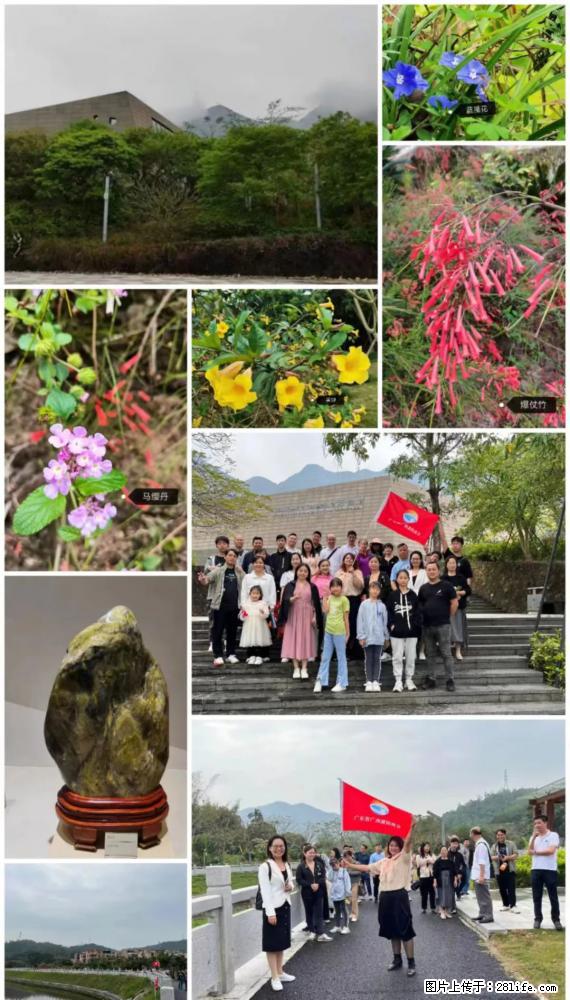“粤灌文化 美好生活”油茶文化主题活动在广东深圳成功举办 - 广安生活资讯 - 广安28生活网 ga.28life.net