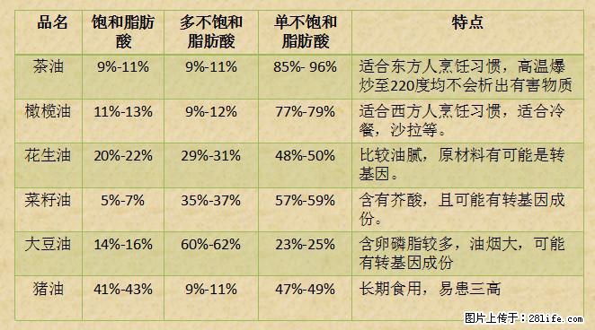 揭秘茶油的5大核心营养成分！被称为人体健康的“守护盾”！ - 广安生活资讯 - 广安28生活网 ga.28life.net