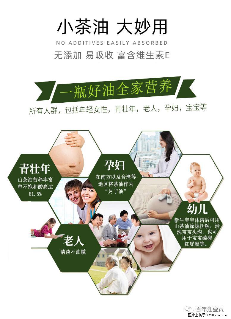 世界没有真相，只有认知，最好的食用油是中国的山茶油！ - 广安生活资讯 - 广安28生活网 ga.28life.net
