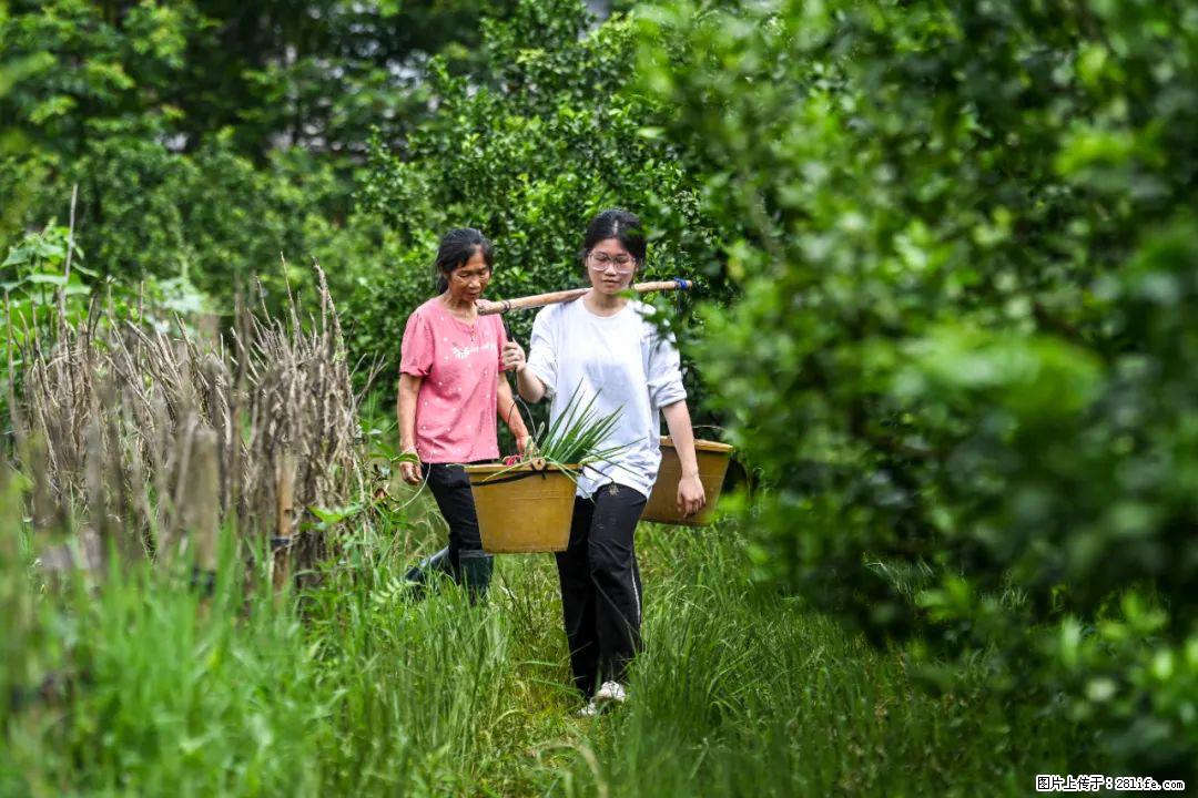全网追的“扁担女孩”，找了一份暑假工，时薪12元 - 广安生活资讯 - 广安28生活网 ga.28life.net