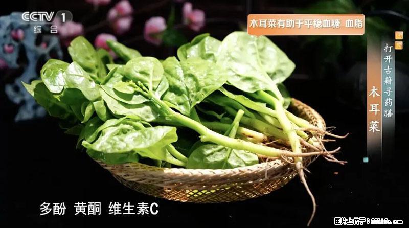 比牛奶补钙还厉害！凉血解毒、稳血糖...这菜冬天必吃，很多人却当草 - 广安生活资讯 - 广安28生活网 ga.28life.net