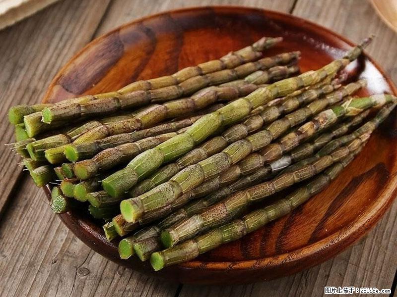 铁皮石斛的作用与功能主治 - 广安生活资讯 - 广安28生活网 ga.28life.net