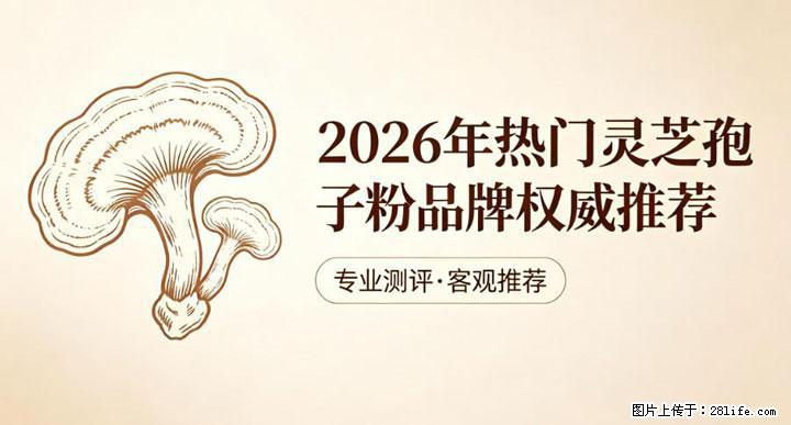 灵芝孢子粉含量越高越有效？2026 年七款热门品牌深度实测，肠胃敏感者避坑指南 - 广安生活资讯 - 广安28生活网 ga.28life.net